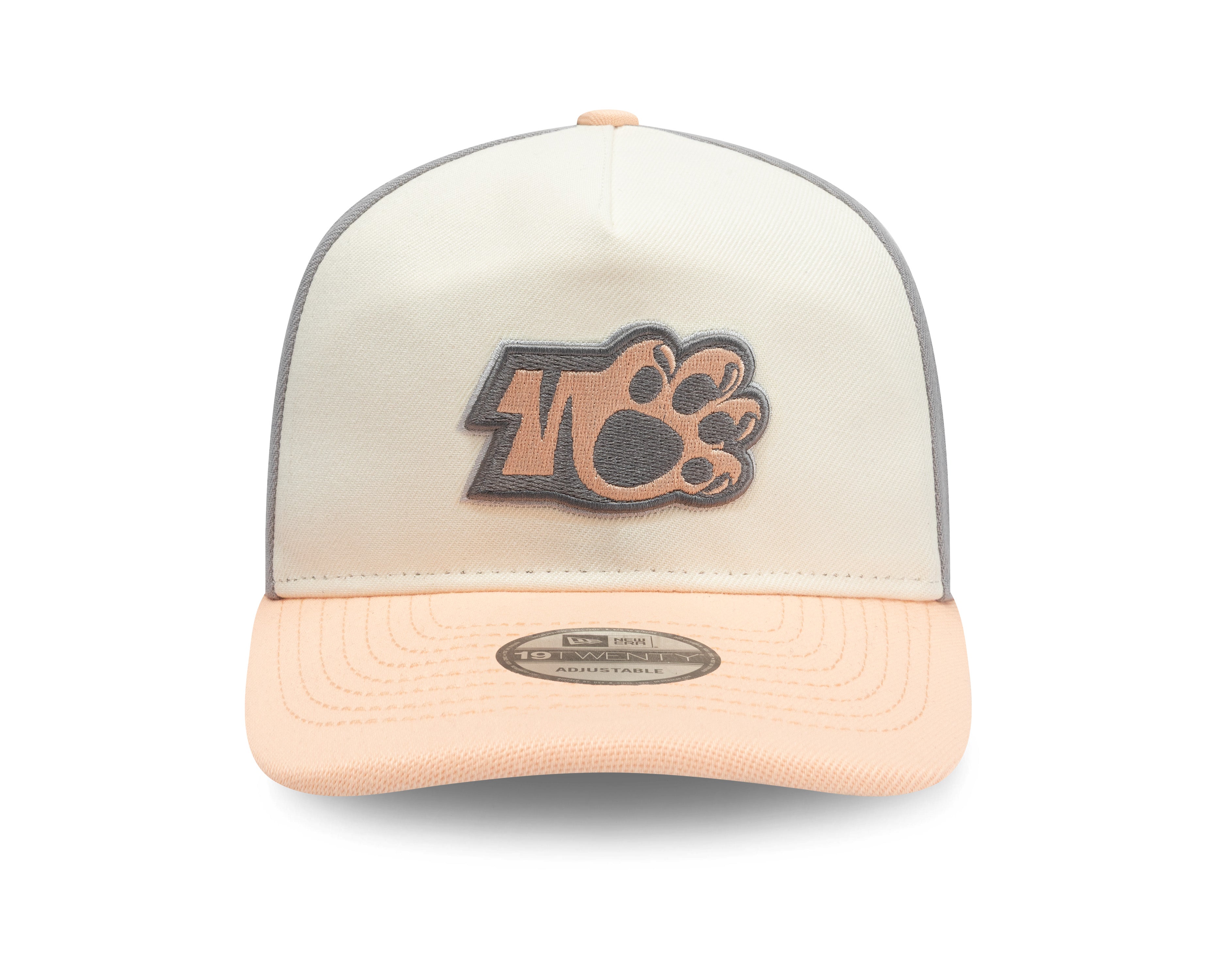 60792313 GORRA GARRA TIGRE PCH