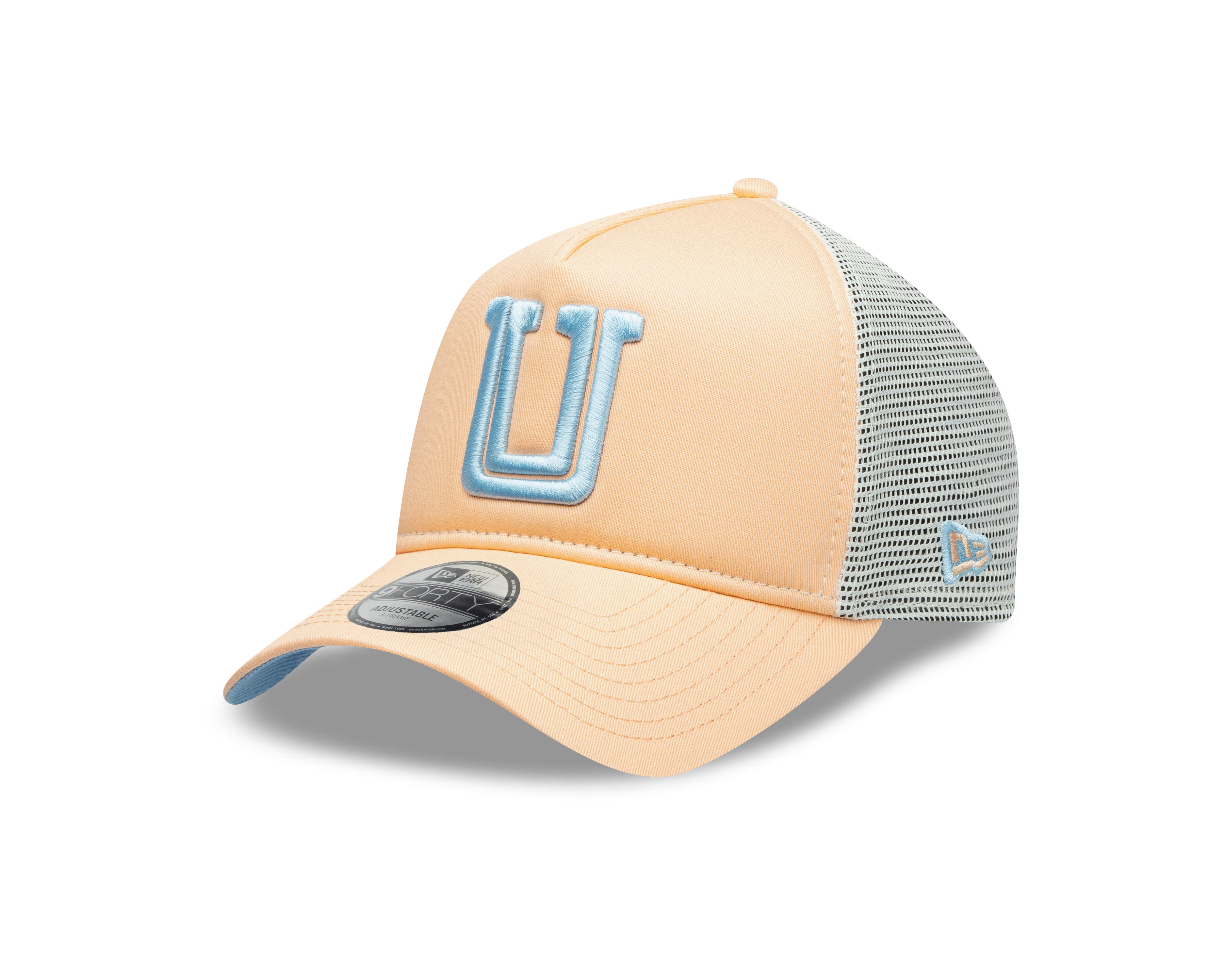 71033497 GORRA AF TRUCK FOAM MONTPEACH