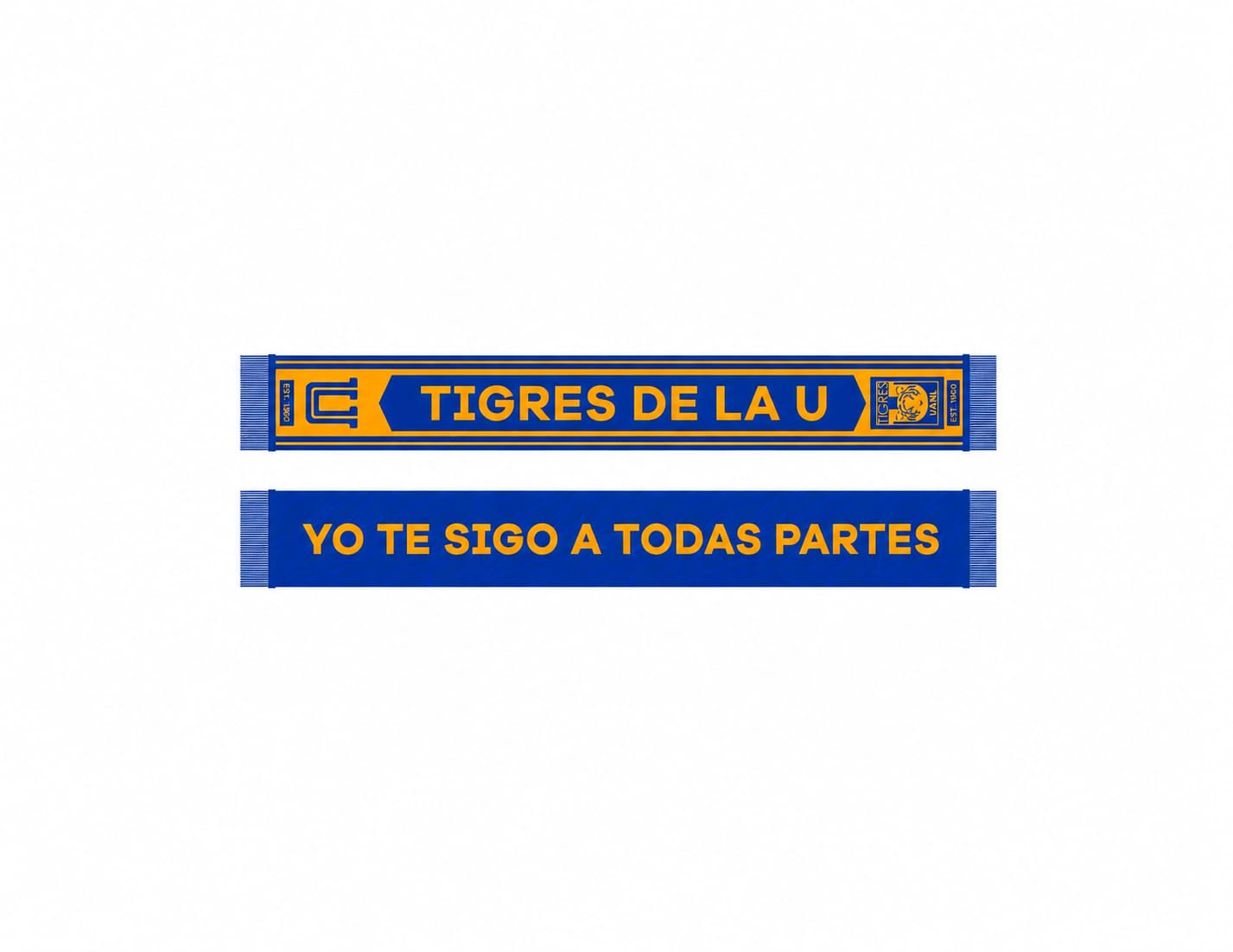FANBAND TIGRES A TODAS PARTES